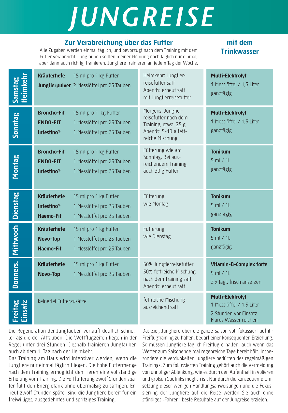 Sudhoff-Vers.-Plan 26 Jungtb-1-min